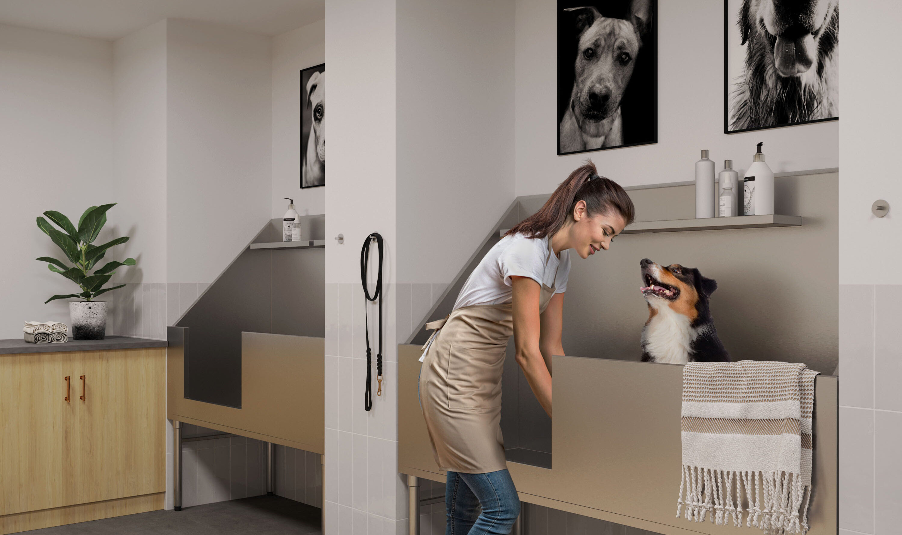 Rendering of dog spa at Rambler Athens, UGA student apartments